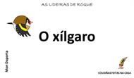 O xílgaro
